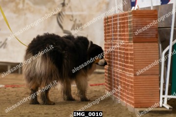 IMG_0010.jpg
