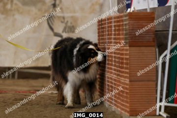 IMG_0014.jpg