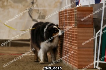 IMG_0016.jpg
