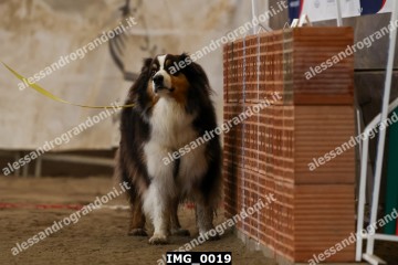 IMG_0019.jpg