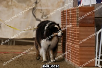 IMG_0026.jpg