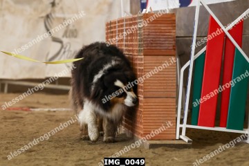 IMG_0049.jpg