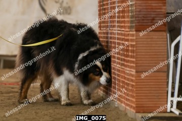 IMG_0075.jpg