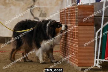 IMG_0081.jpg