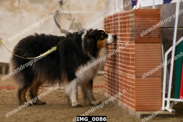 IMG_0086.jpg