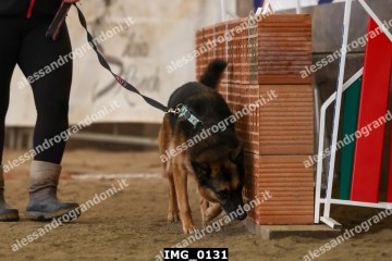 IMG_0131.jpg