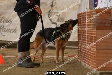 IMG_0175.jpg