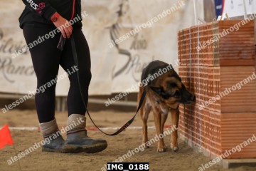 IMG_0188.jpg