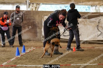 IMG_0275.jpg