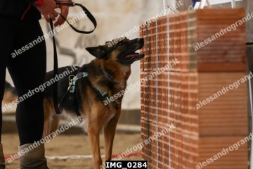 IMG_0284.jpg