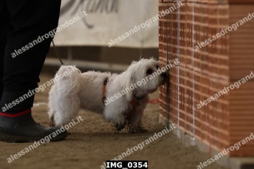IMG_0354.jpg