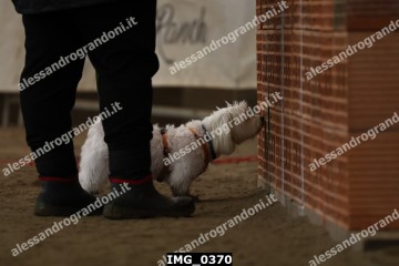 IMG_0370.jpg