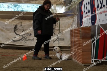 IMG_0385.jpg