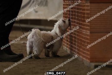 IMG_0477.jpg