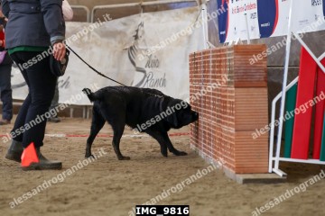 IMG_9816.jpg