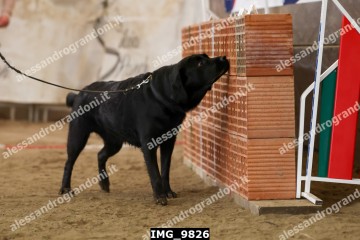 IMG_9826.jpg