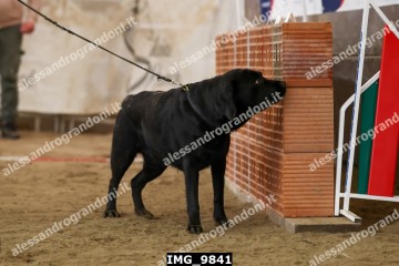 IMG_9841.jpg