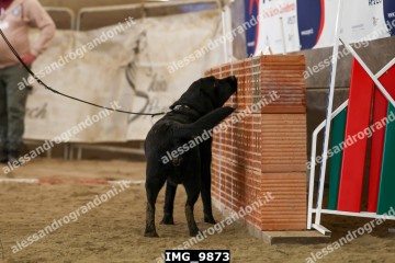 IMG_9873.jpg