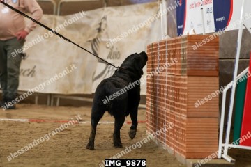 IMG_9878.jpg