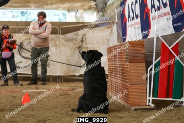 IMG_9929.jpg
