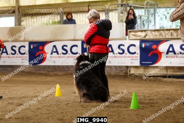 IMG_9940.jpg