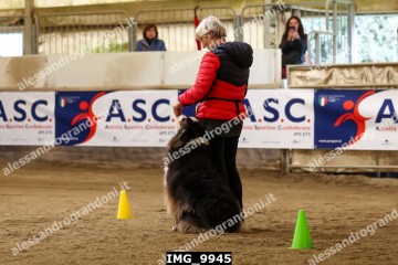 IMG_9945.jpg