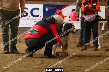 IMG_9952.jpg