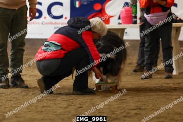 IMG_9961.jpg