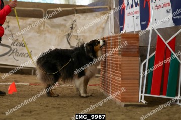 IMG_9967.jpg