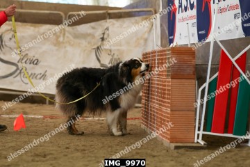 IMG_9970.jpg