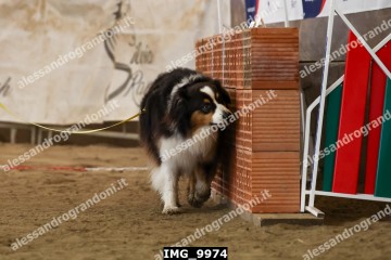 IMG_9974.jpg