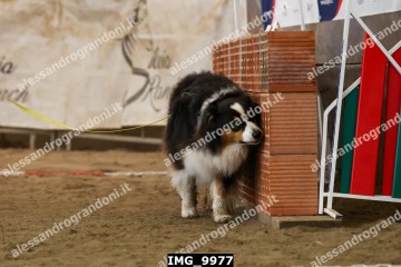 IMG_9977.jpg