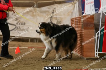 IMG_9985.jpg