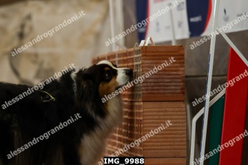 IMG_9988.jpg