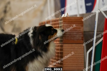 IMG_9992.jpg