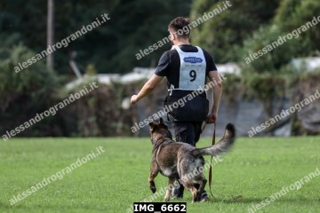 IMG_6662.jpg