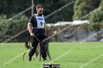 IMG_6720.jpg