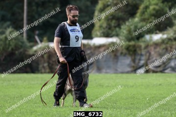 IMG_6732.jpg