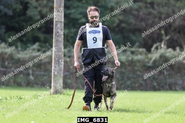 IMG_6831.jpg