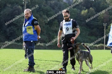 IMG_6856.jpg