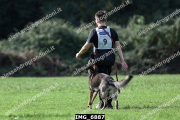 IMG_6887.jpg