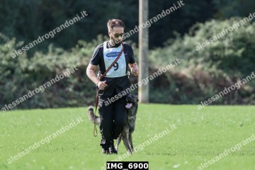 IMG_6900.jpg