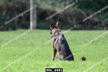 IMG_6981.jpg