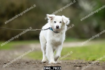 IMG_7822.jpg