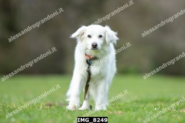 IMG_8249.jpg