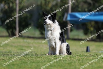 IMG_2146.jpg