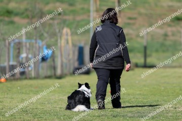 IMG_3242 (2).jpg