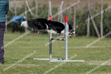 IMG_3283 (2).jpg