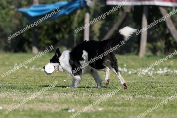 IMG_3297.jpg