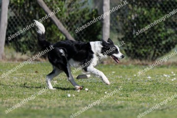 IMG_3354 (2).jpg